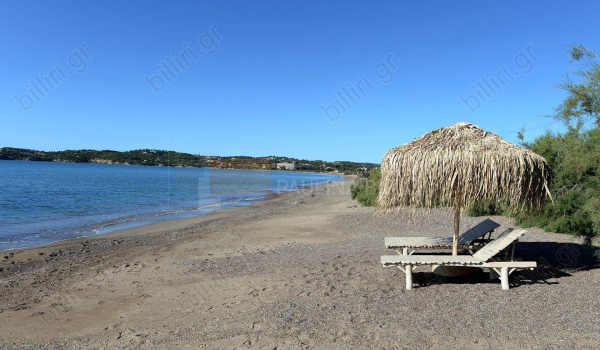 Παραλία - Beach